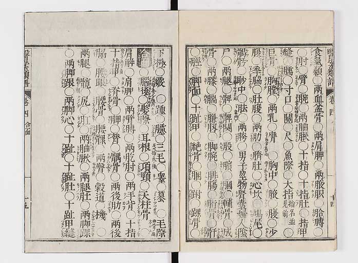 K0002s0065