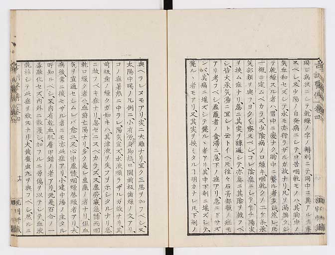 K0003s0161