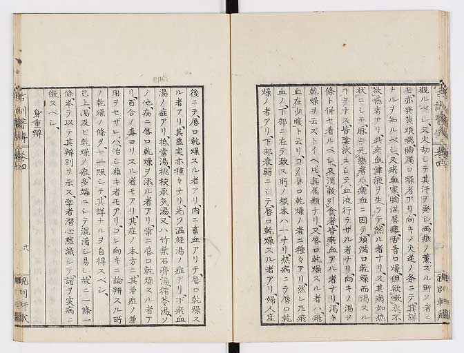 K0003s0163