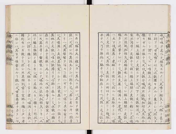 K0003s0205