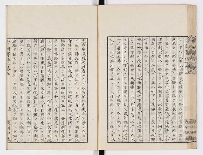 K0003s0248
