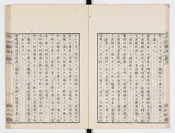 K0003s0262
