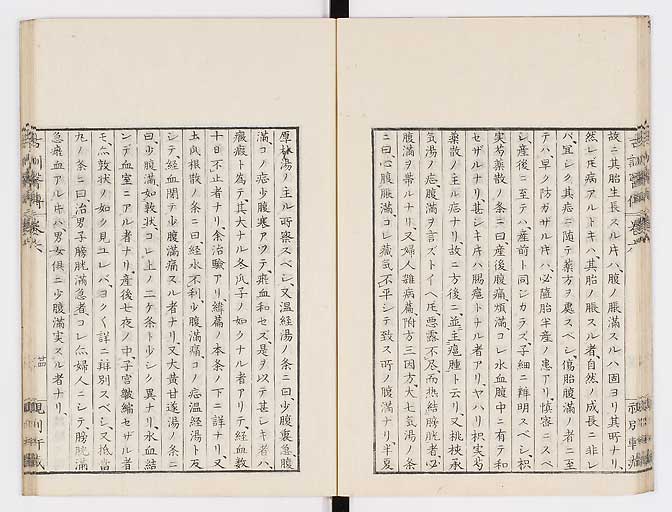 K0003s0276