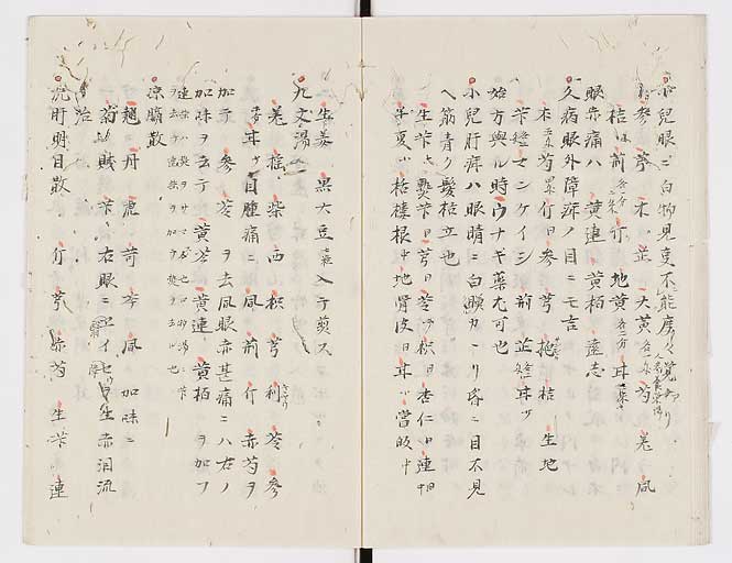 K0005s0020