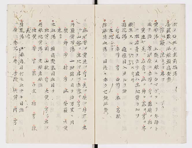 K0005s0022