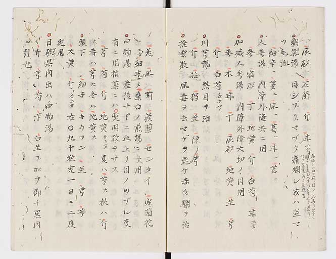K0005s0023