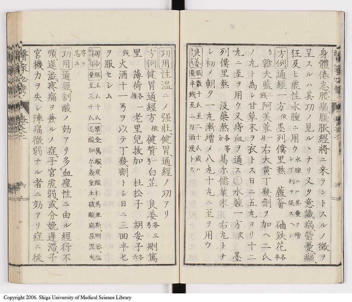 K0006l0065