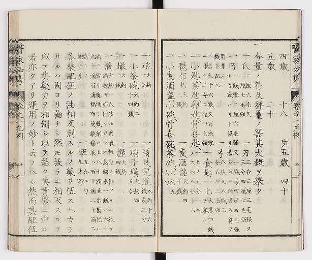 K0006s0006