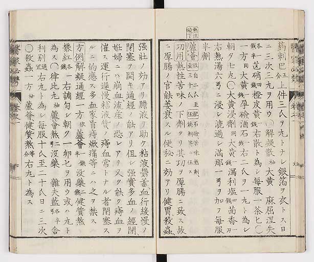K0006s0020