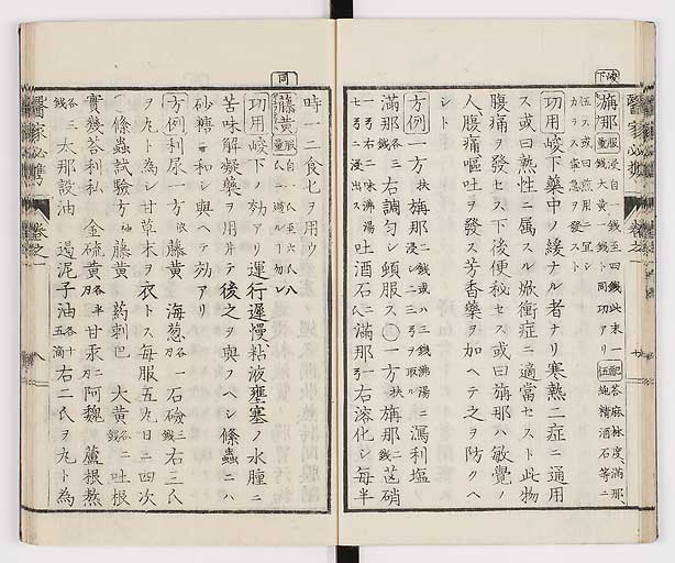 K0006s0021