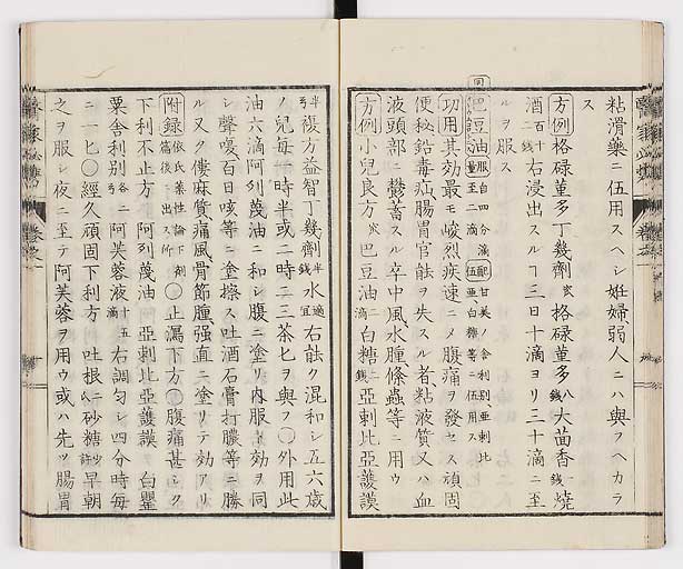 K0006s0023