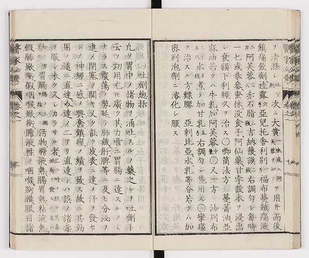 K0006s0024