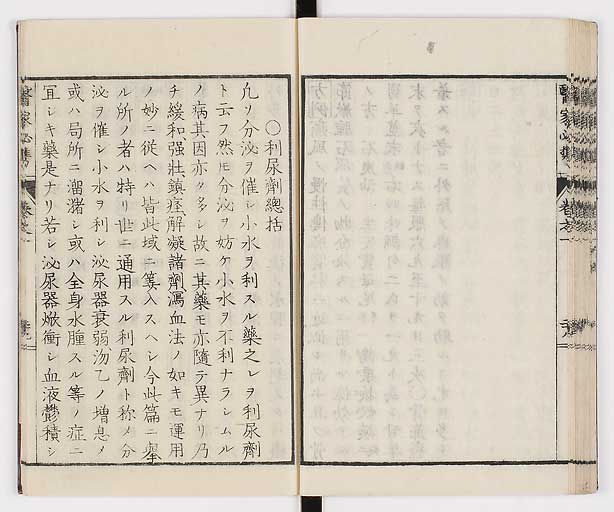 K0006s0042