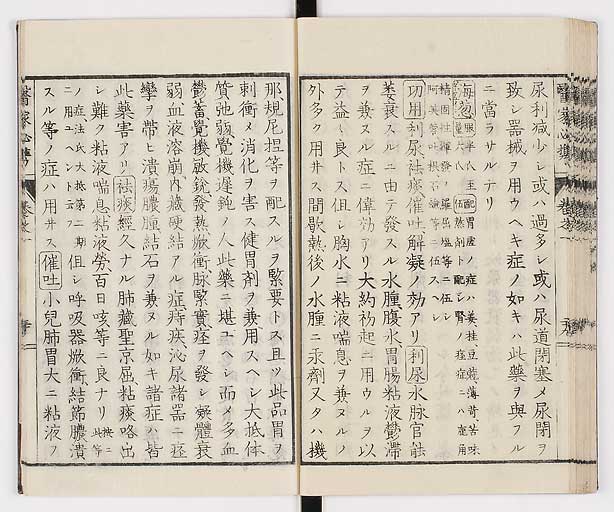 K0006s0043
