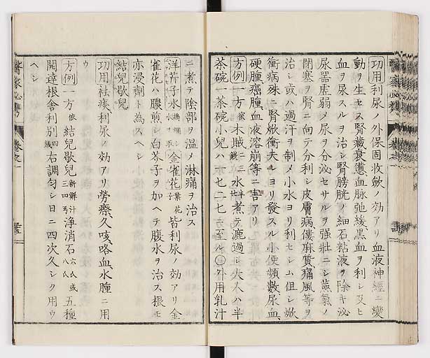 K0006s0048
