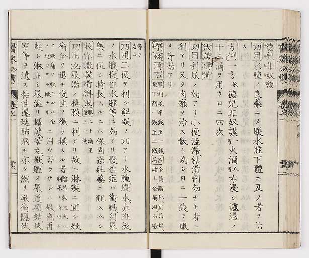 K0006s0049