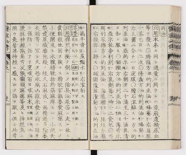 K0006s0051