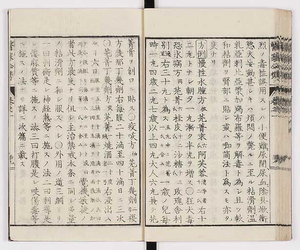 K0006s0052