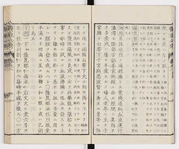 K0006s0063