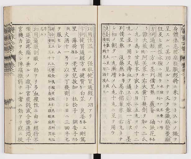 K0006s0065