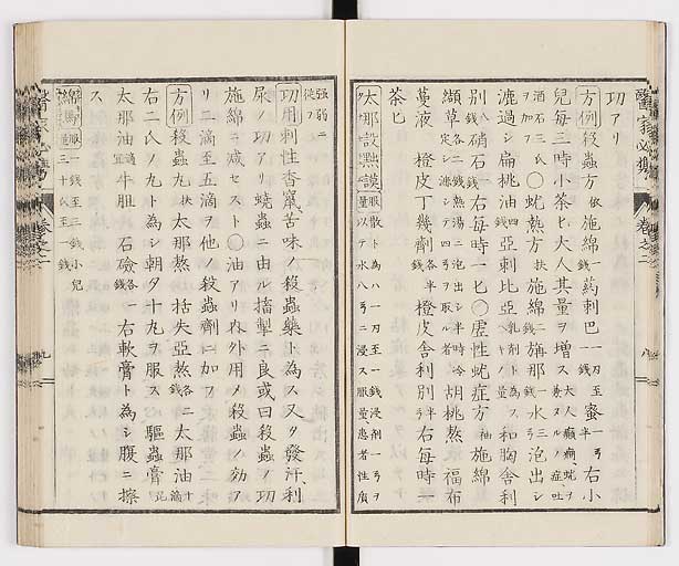 K0006s0068