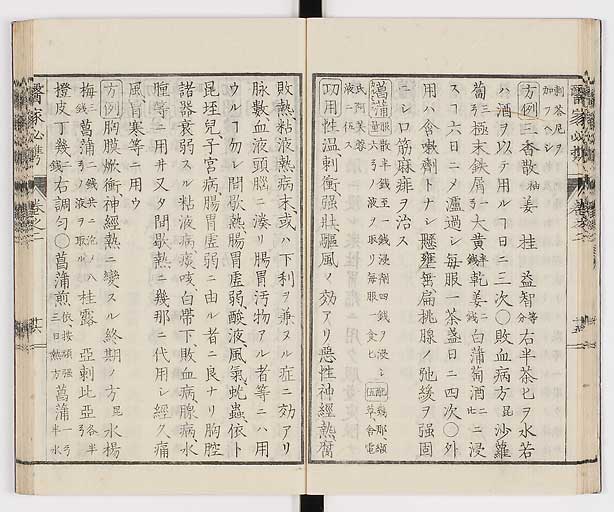 K0006s0075