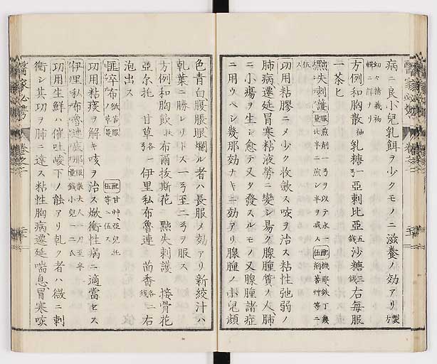K0006s0081