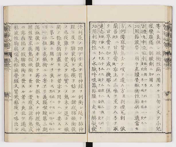 K0006s0082
