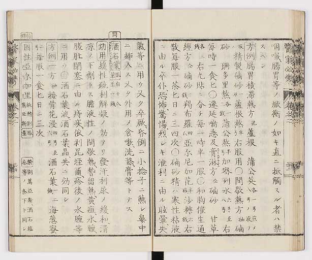 K0006s0093