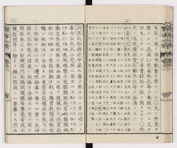 K0006s0100