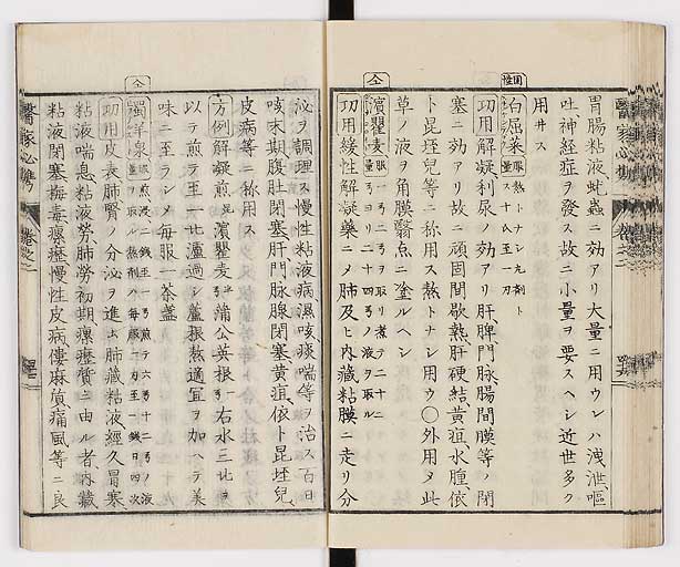 K0006s0106