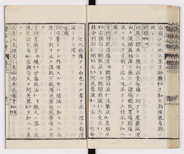 K0006s0115