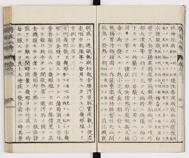 K0006s0126