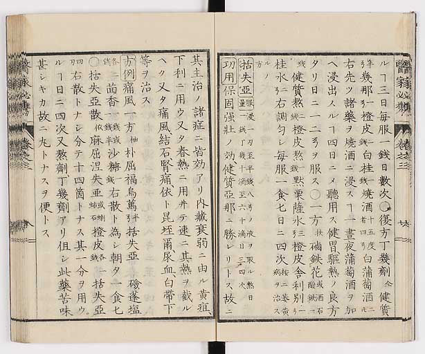 K0006s0129