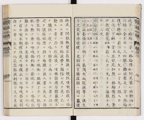 K0006s0131