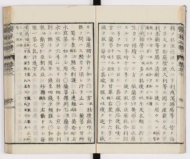 K0006s0132