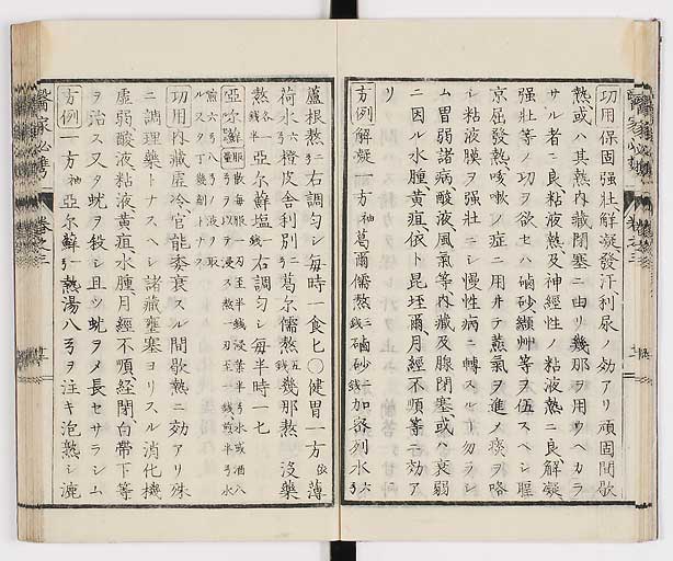 K0006s0133