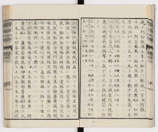 K0006s0134