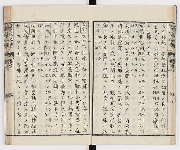 K0006s0135