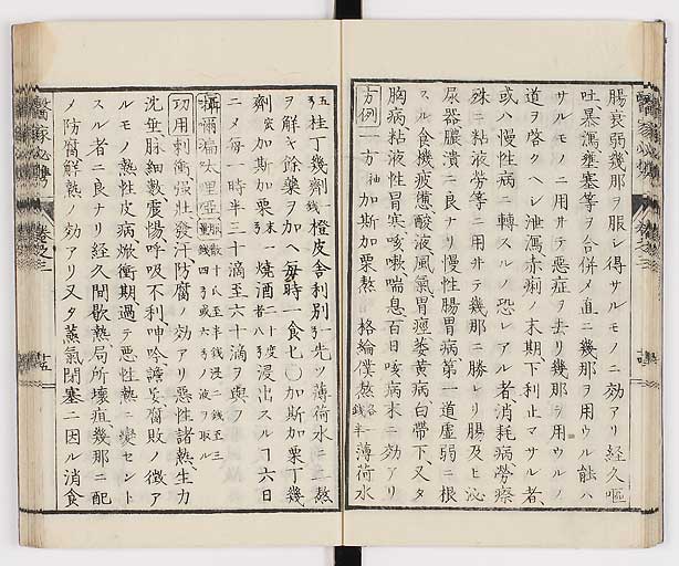 K0006s0136