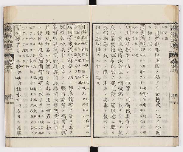 K0006s0142