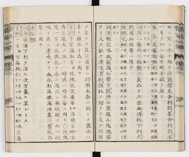 K0006s0146