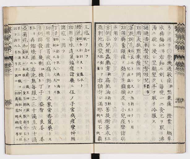 K0006s0156