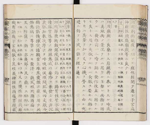 K0006s0163