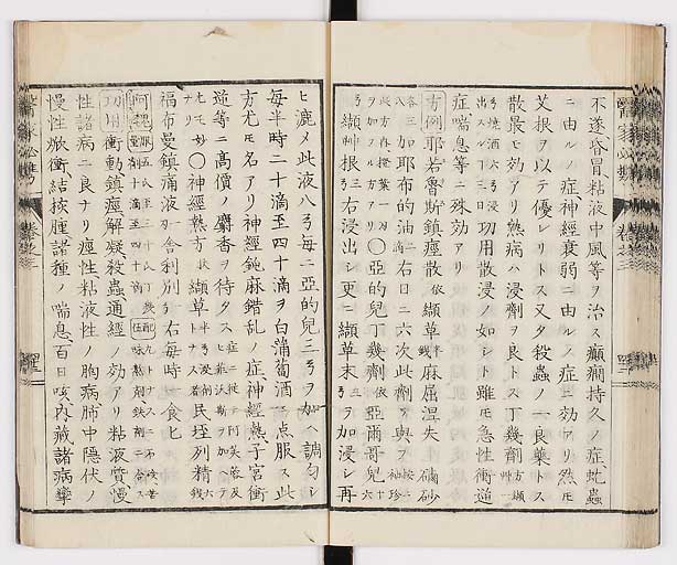 K0006s0164