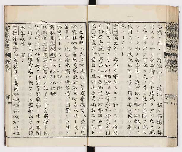 K0006s0169