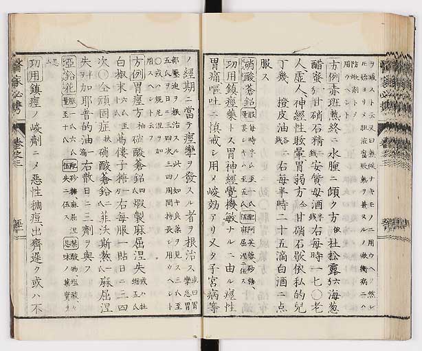 K0006s0172