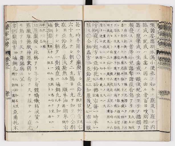 K0006s0173