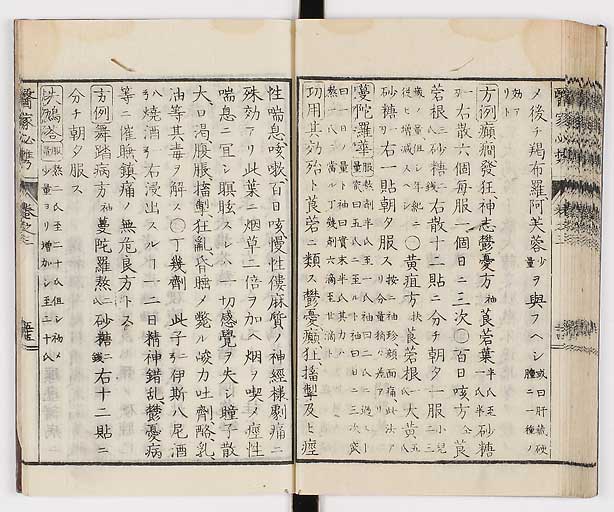 K0006s0176