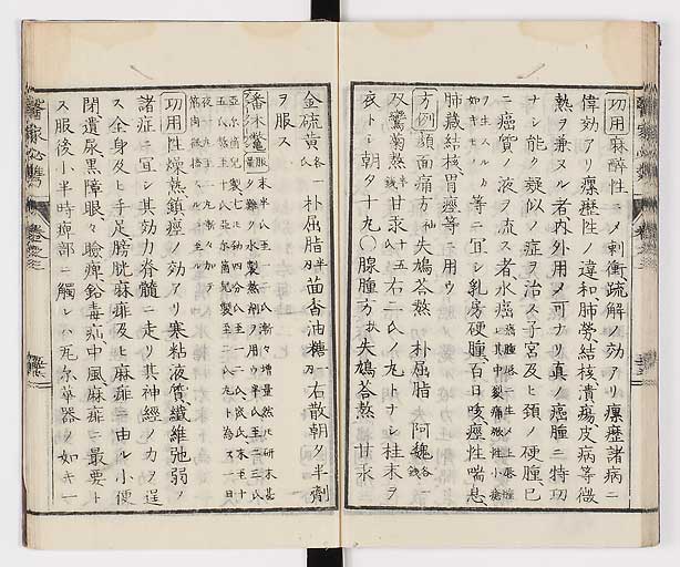 K0006s0177